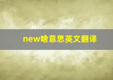 new啥意思英文翻译