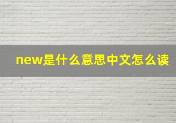 new是什么意思中文怎么读