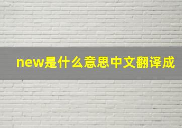 new是什么意思中文翻译成