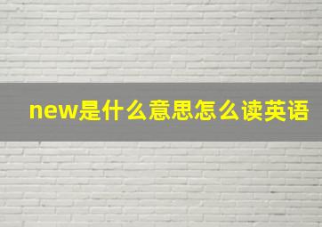 new是什么意思怎么读英语