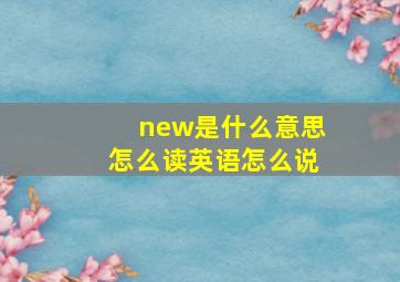 new是什么意思怎么读英语怎么说