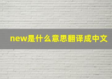 new是什么意思翻译成中文