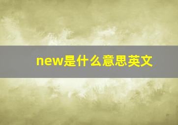 new是什么意思英文