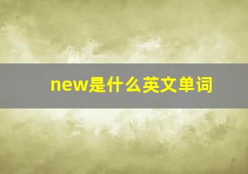 new是什么英文单词