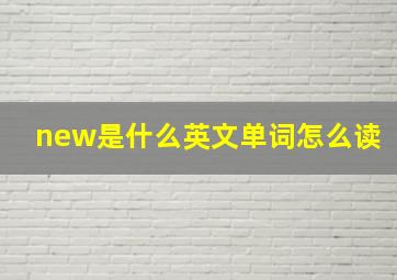 new是什么英文单词怎么读