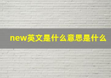 new英文是什么意思是什么