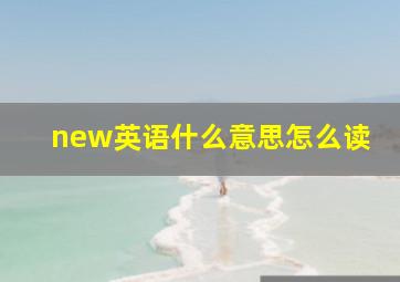 new英语什么意思怎么读