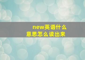 new英语什么意思怎么读出来