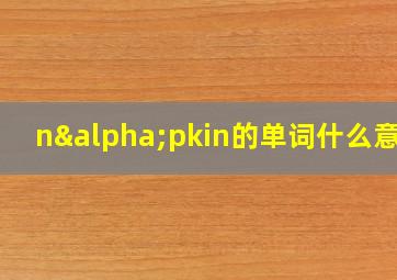 nαpkin的单词什么意思