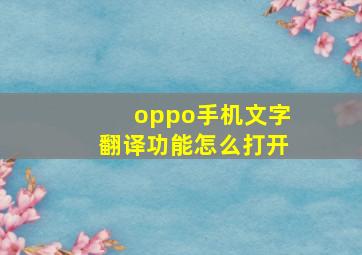 oppo手机文字翻译功能怎么打开