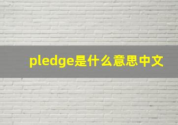 pledge是什么意思中文