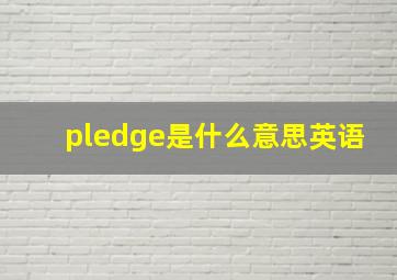 pledge是什么意思英语