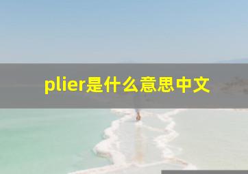 plier是什么意思中文