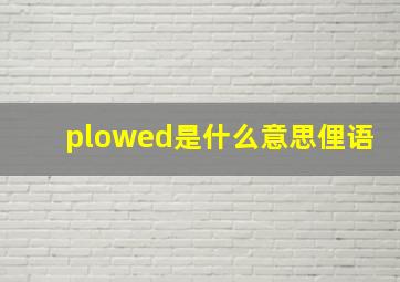 plowed是什么意思俚语