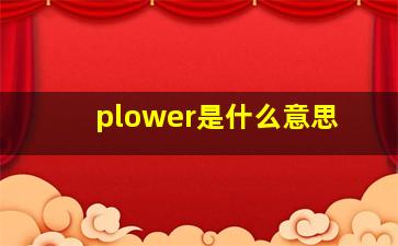 plower是什么意思