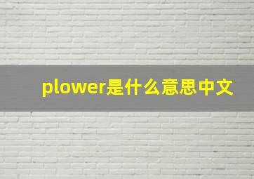 plower是什么意思中文