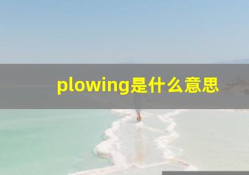 plowing是什么意思