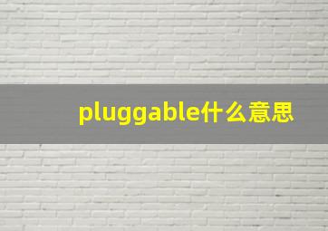 pluggable什么意思