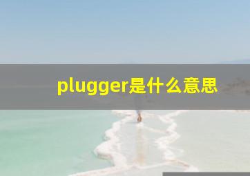 plugger是什么意思