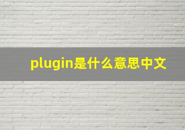 plugin是什么意思中文