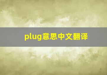 plug意思中文翻译