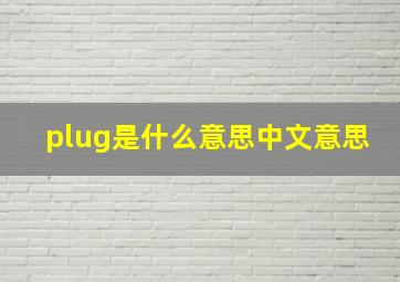 plug是什么意思中文意思