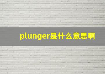 plunger是什么意思啊