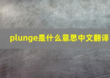 plunge是什么意思中文翻译