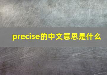 precise的中文意思是什么