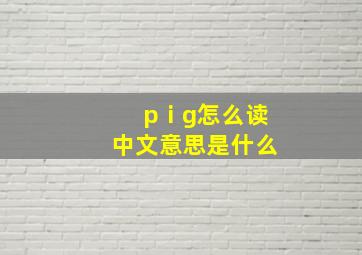 pⅰg怎么读中文意思是什么