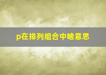 p在排列组合中啥意思