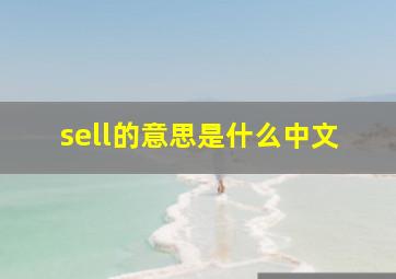 sell的意思是什么中文