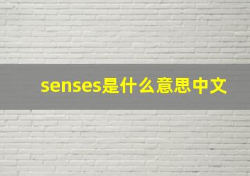 senses是什么意思中文