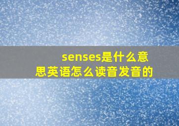 senses是什么意思英语怎么读音发音的