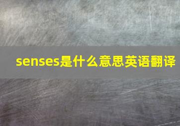 senses是什么意思英语翻译