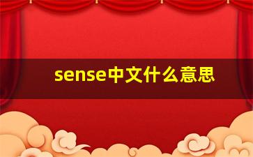 sense中文什么意思