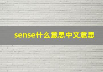 sense什么意思中文意思