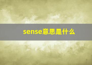 sense意思是什么