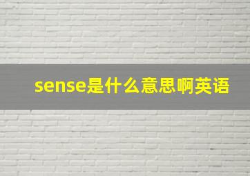 sense是什么意思啊英语