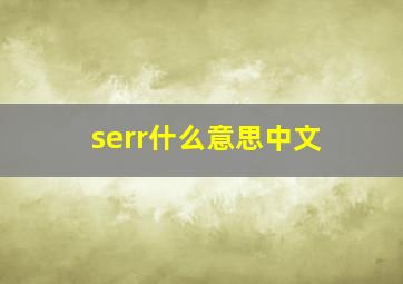 serr什么意思中文