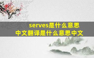 serves是什么意思中文翻译是什么意思中文