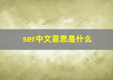 ser中文意思是什么