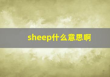 sheep什么意思啊