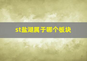 st盐湖属于哪个板块