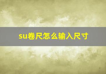 su卷尺怎么输入尺寸