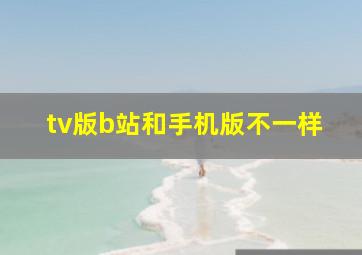 tv版b站和手机版不一样