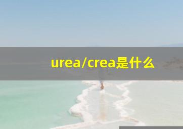 urea/crea是什么