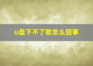 u盘下不了歌怎么回事