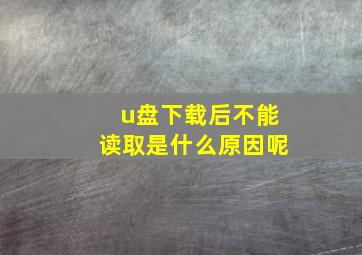 u盘下载后不能读取是什么原因呢