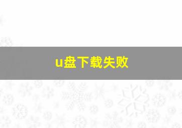 u盘下载失败